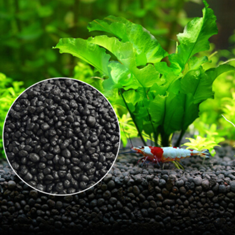Aquarium Fish To Buy - نباتات أحواض السمك ، التربة ،