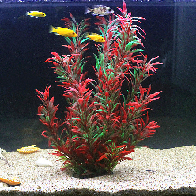 Aquarium Fish To Buy - نباتات اصطناعية نادرة لأحواض السمك بطول