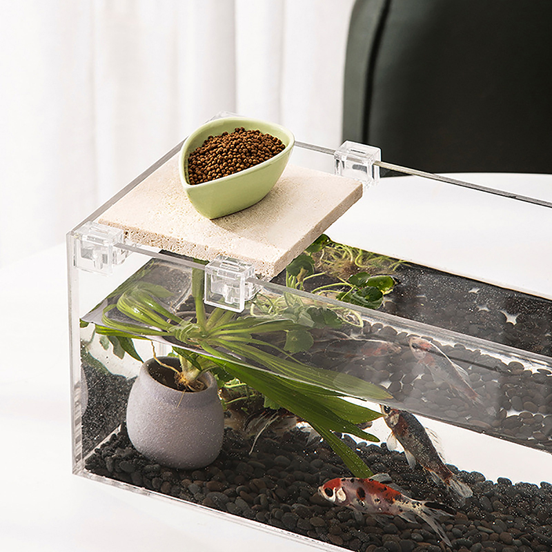 حامل غطاء حوض أسماك أكريليك ،  - مراجعة Aquarium Fish To Buy وسعره