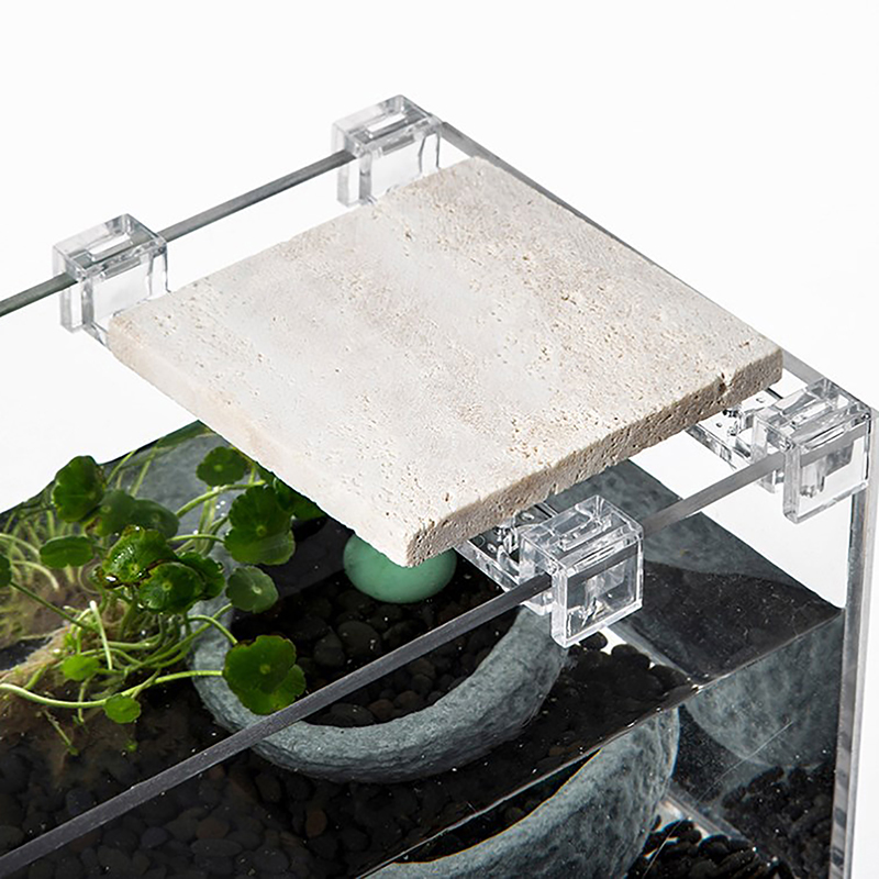حامل غطاء حوض أسماك أكريليك ،  - مراجعة Aquarium Fish To Buy وسعره
