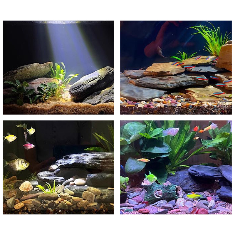 مجموعة أحجار تنسيق أحواض السمك - مراجعة Aquarium Fish Bowl وسعره