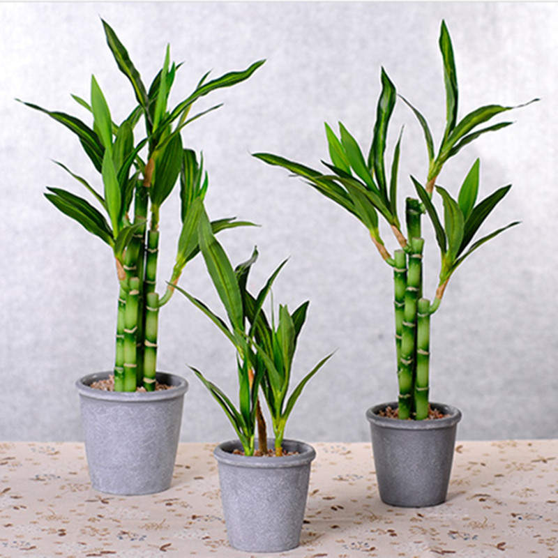 جديد 40 سنتيمتر rFtificial محظ - مراجعة Aquarium Fish To Buy وسعره