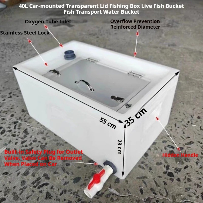 صندوق أسماك حية سميك 40 لتر/60 - مراجعة Aquarium Fish To Buy وسعره