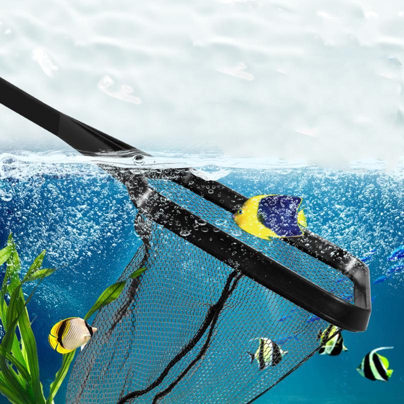 شبكة صيد السمك البلاستيكية الت - مراجعة Aquarium Fish Big وسعره