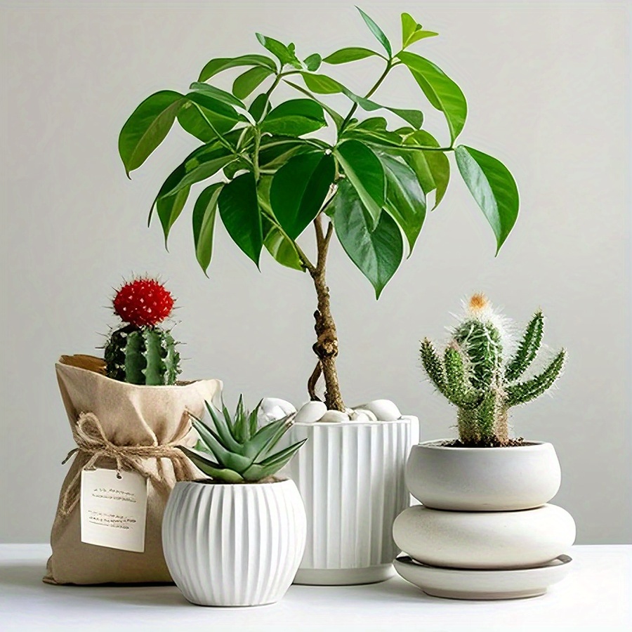 200/400 جرام الأبيض عالية مصقو - مراجعة Aquarium Fish Bowl وسعره