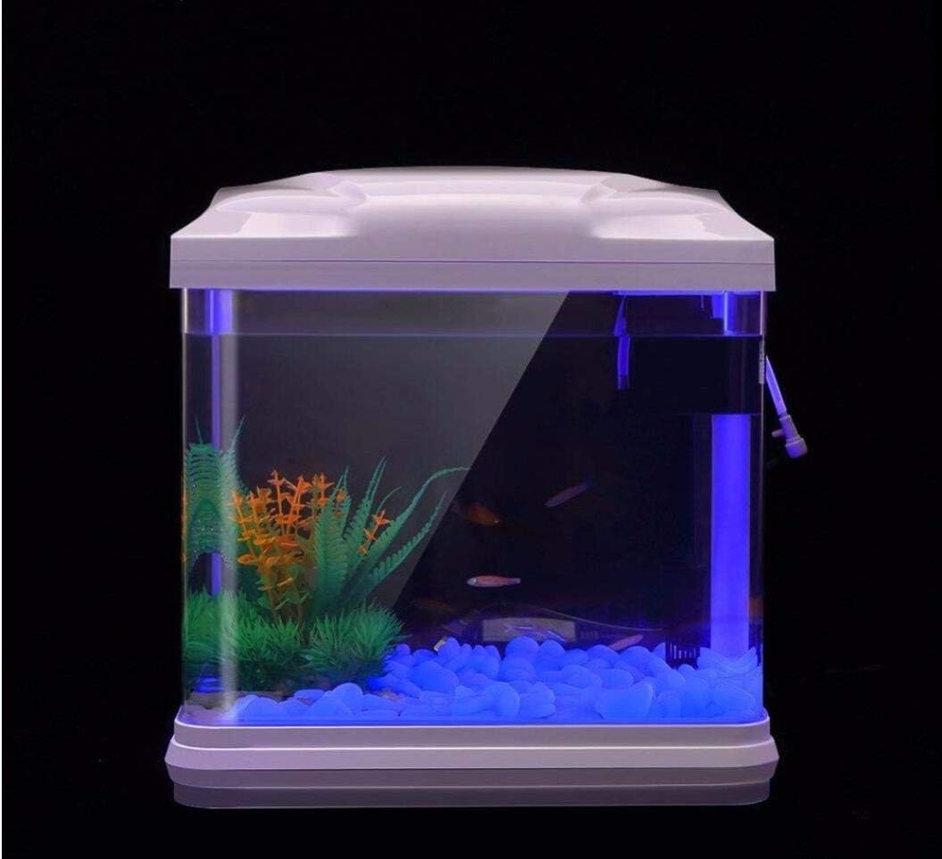 حوض السمك الصخور توهج الحصى ال - مراجعة Aquarium Fish Bowl وسعره