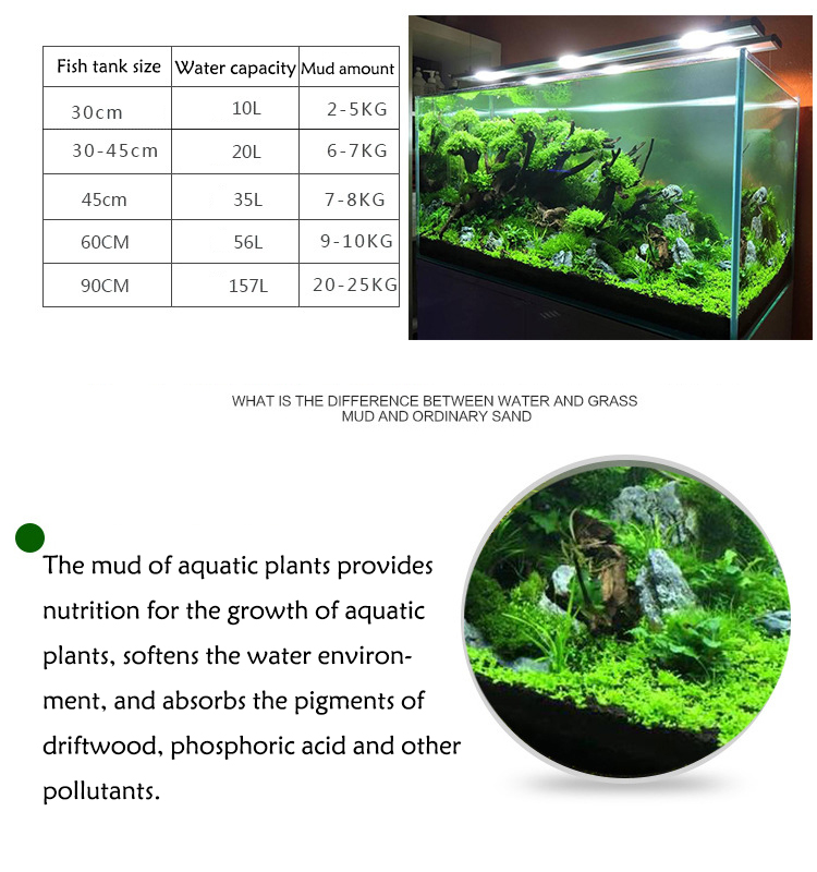 نباتات أحواض السمك ، التربة ،  - مراجعة Aquarium Fish To Buy وسعره