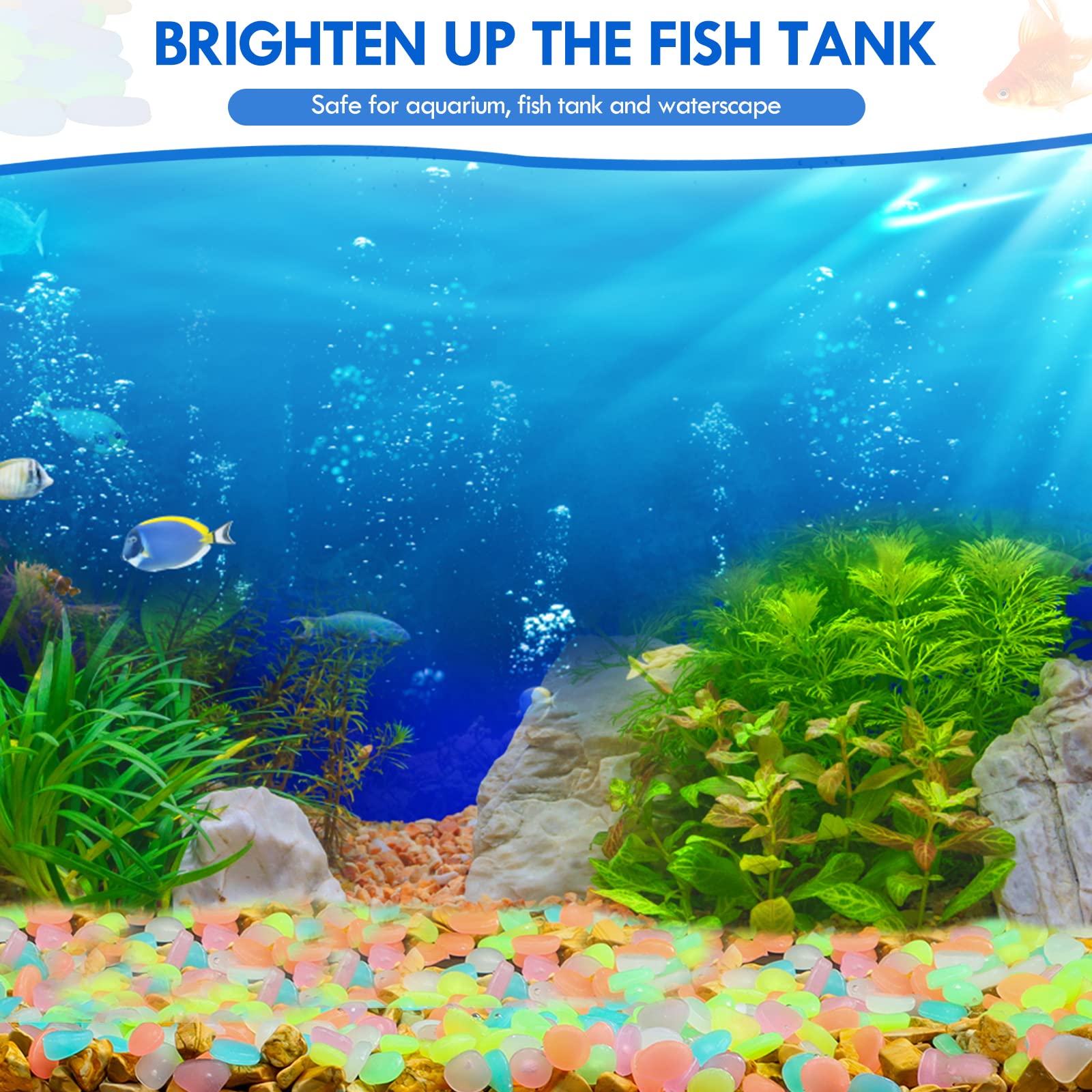 100 قطعة يتوهج في الظلام حديقة - مراجعة Aquarium Fish Bowl وسعره