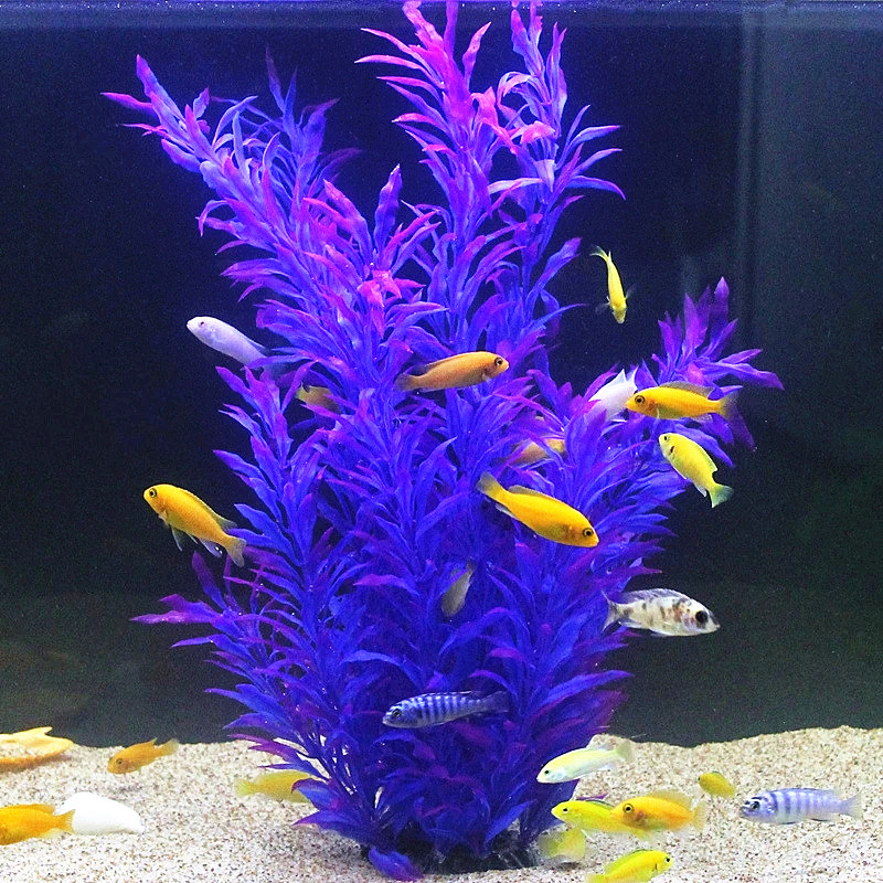 نباتات اصطناعية نادرة لأحواض ا - مراجعة Aquarium Fish To Buy وسعره